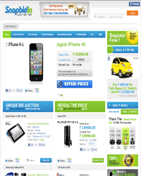 Snapbid.in portal interface from the 2012 launch